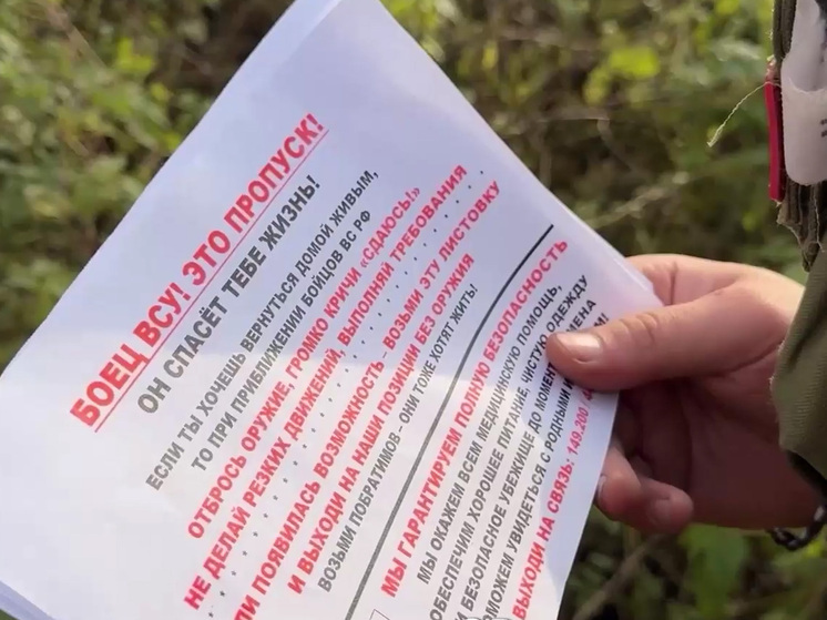 Политический кризис и коррупционные скандалы в Киеве все сильнее начинают влиять на положение дел ВСУ на фронте