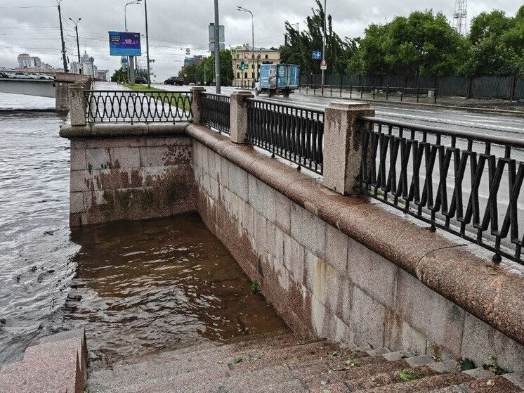 Синоптик Колесов обрадовал петербуржцев прошедшей осенью без наводнений