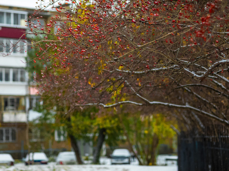 Приметы на день Романа и Платона: что нельзя делать 1 декабря 2025 года