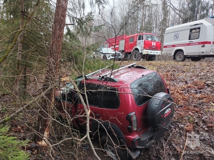 На трассе под Козельском пострадала женщина