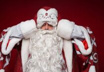 Новый год для детей, да и для некоторых взрослых, невозможно представить без Деда Мороза и его внучки