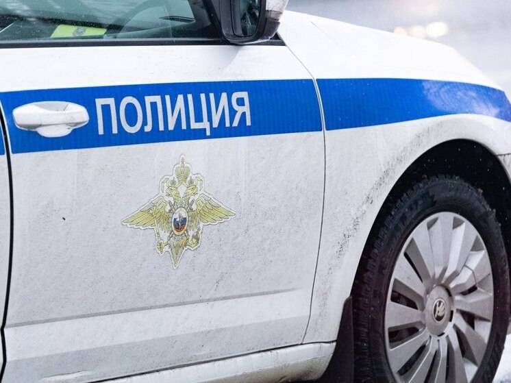 На 75-летнего пенсионера наехал водитель за рулем «УАЗ Патриот» под Ленобластью