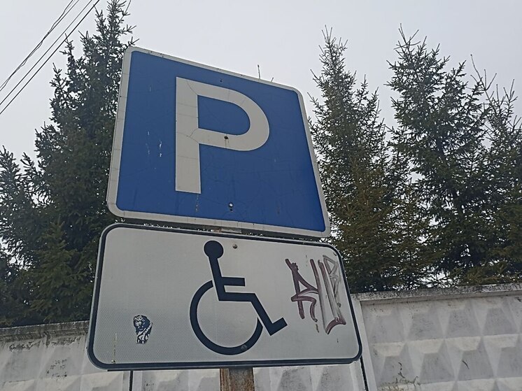 Паркующиеся на местах для инвалидов служебные авто возмутили петербуржцев