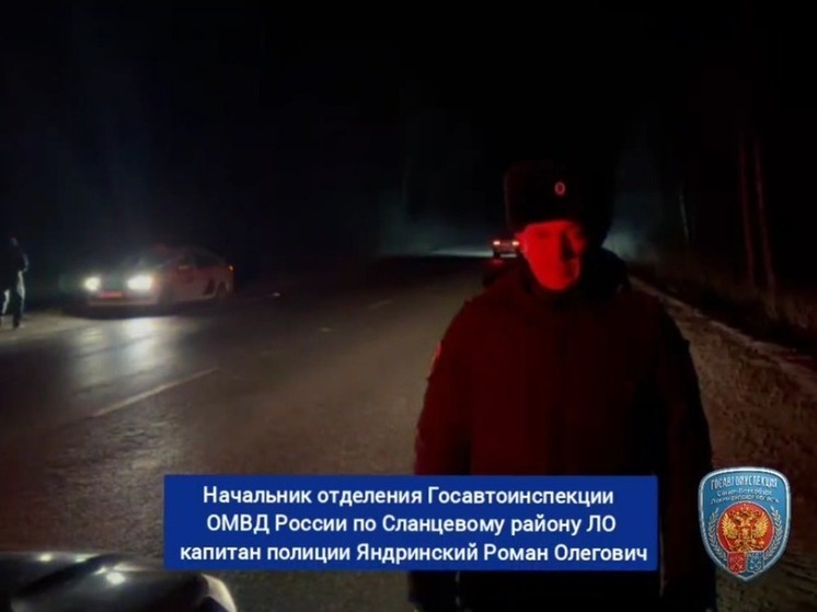 В Ленобласти 19-летний водитель на «ВАЗе» наехал на неизвестного пешехода