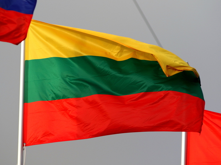 Politico: Бельгийский военнослужащий погиб во время учений НАТО в Литве