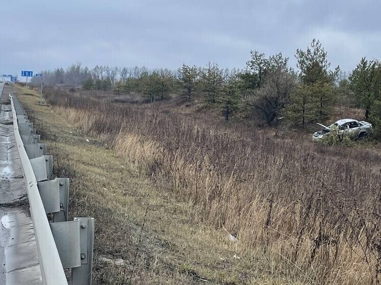 В Самарской области «Гранта» врезалась в дерево, пострадали 2 человека