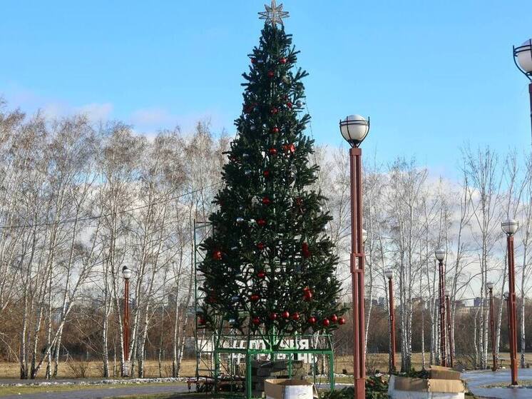 В парке «Птичья гавань»  появится лыжная трасса и горка