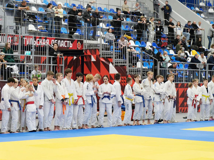 В Туле проходят областные чемпионат и первенство по джиу-джитсу