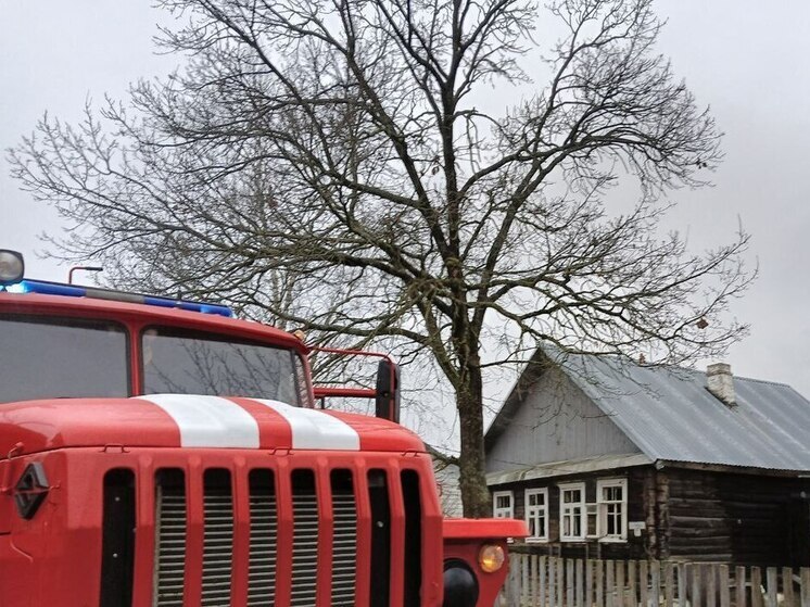 Пожарные спасли дом, стоящий рядом с горящим гаражом и сараем в Холмском округе