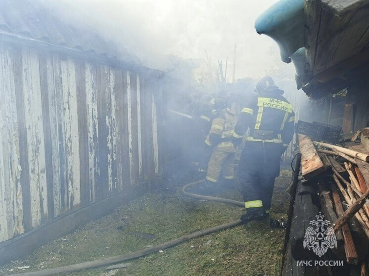 В Старой Руссе пожар полностью уничтожил баню и дровяник