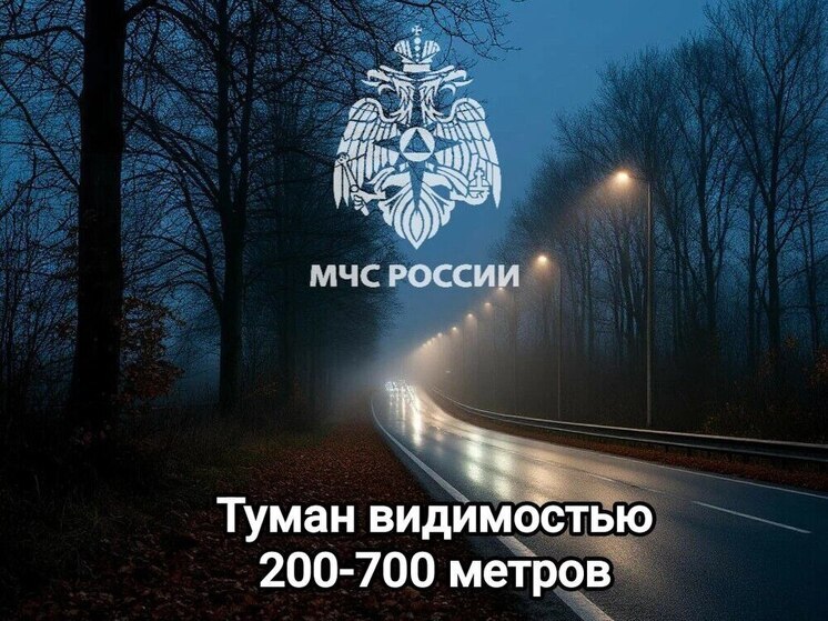 Спасатели предупредили туляков о сгущении тумана в регионе 1 декабря