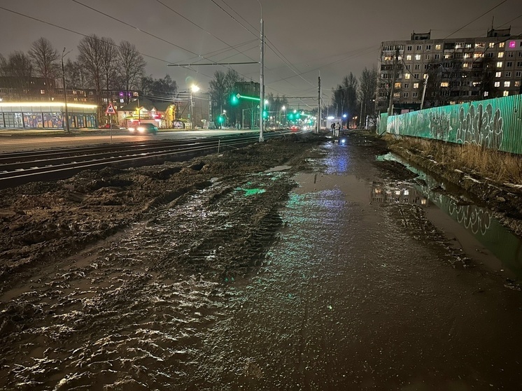 Жители Брагино пожаловались на свою «темную» жизнь