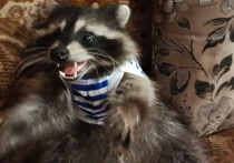 Фронтовая жизнь, конечно, не сахар