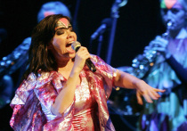 Исландская поп-арт певица Бьорк воспользовалась своей круглой датой — 60 лет, чтобы привлечь внимание общественности к проблемам экологии