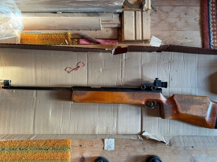 Житель Новой Ляды предстанет перед судом за незаконный арсенал