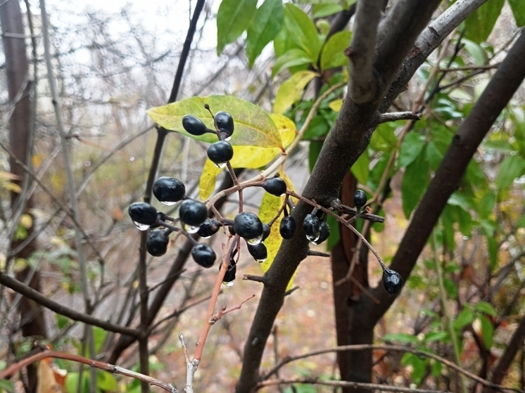 Сила магнитной бури 1 декабря составит 5 баллов: хорошее время для новых знакомств