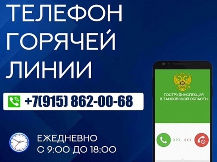 Защитите свои трудовые права: в Тамбовской области работает горячая линия