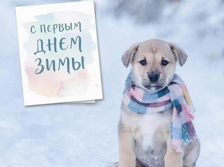 Открытки с первым днем зимы! Яркие, прикольные и красивые картинки к 1 декабря 2025