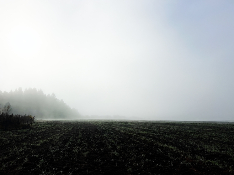 В Тверской области предупредили о густом тумане