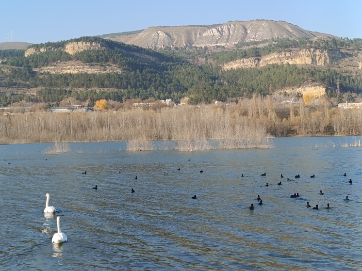 В Кисловодске стартовал этап проектирования Нового озера