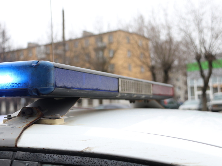 В Тверской области сбили лося