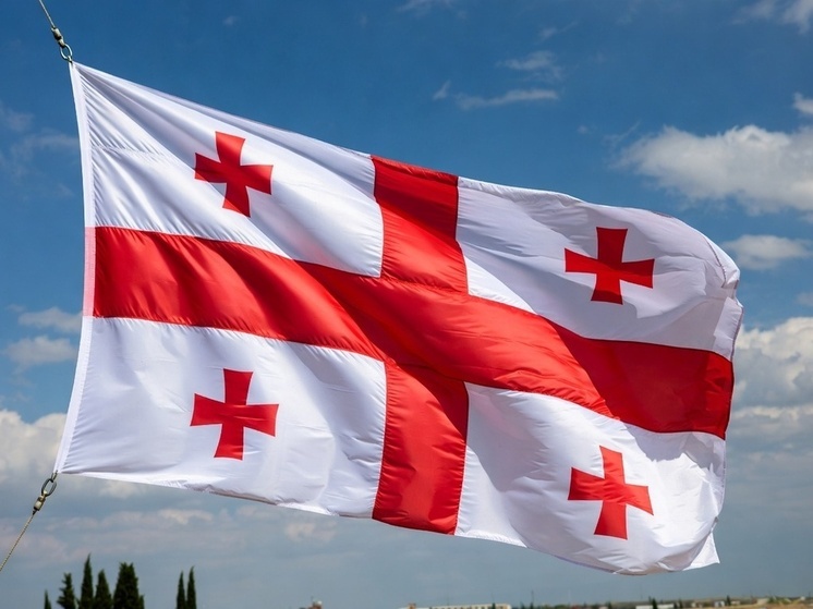 В Грузии в попытке теракта в суде обвиняют оппозиционного политика Элисашвили