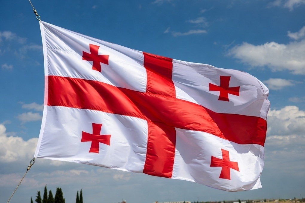 Раскрыта попытка теракта в здании суда в Грузии