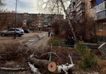 ЧП, которое произошло 27 ноября во дворе дома на улице Промышленной, перестало быть рядовым происшествием и вышло на федеральный уровень