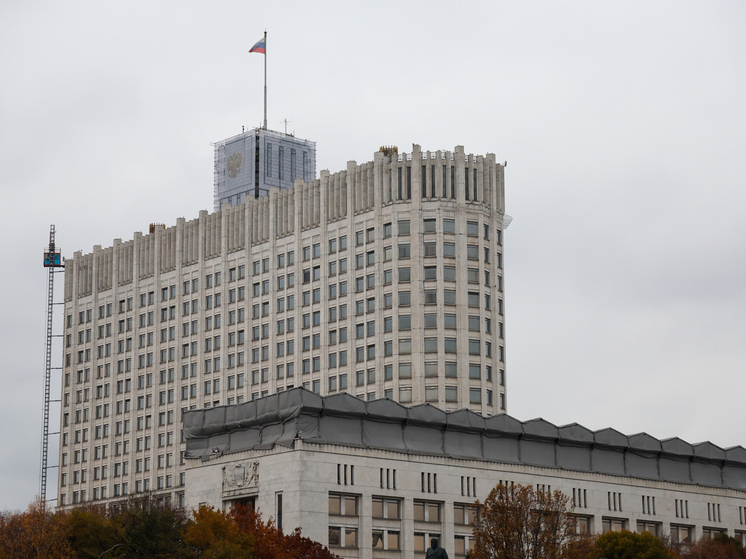 Правительство России расширило перечень товаров, запрещенных к вывозу в недружественные страны