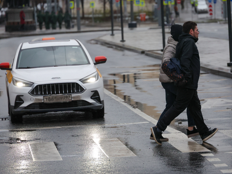 Вильфанд: начало декабря в Москве ожидается без отрицательных температур,