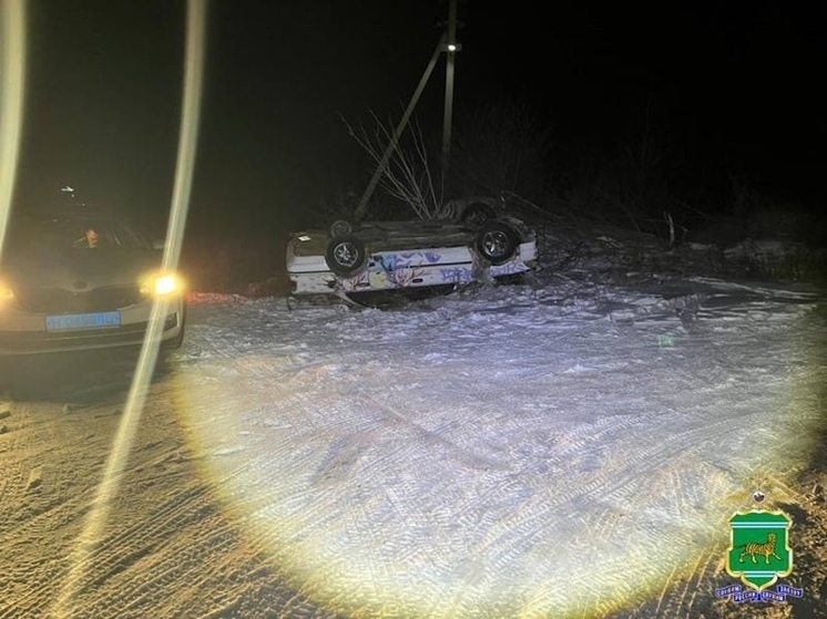 «Тойота» в кювете, водитель исчез: странная авария в ЕАО
