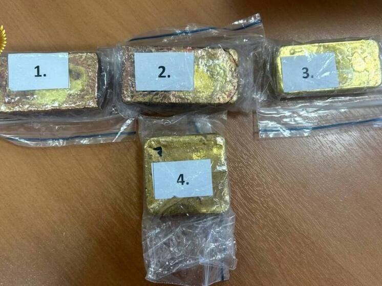 Иностранцу, обвиняемому в контрабанде золота, вынесли приговор в Забайкалье