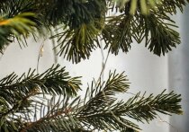 Наблюдение за геомагнитной обстановкой в Приморье показывает, что неделя с 1 по 7 декабря 2025 года обещает быть напряженной для метеочувствительных людей