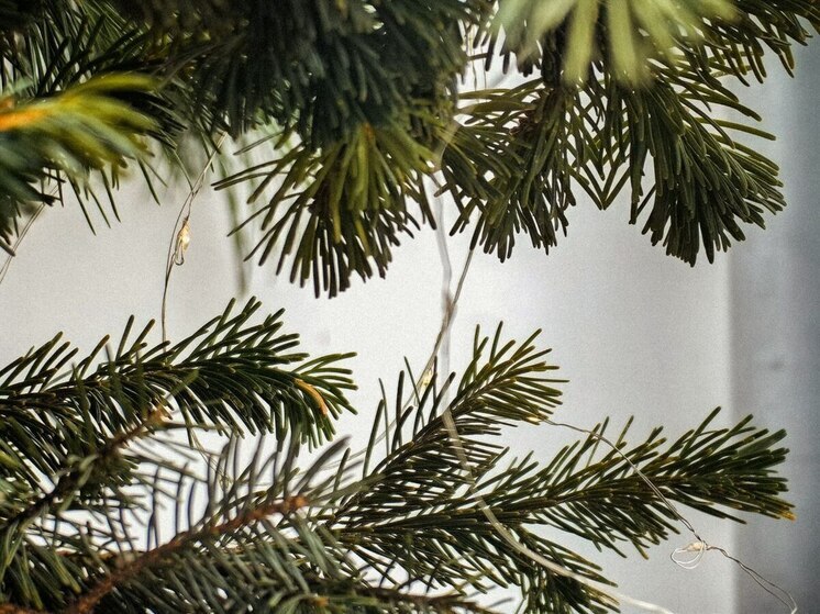 Магнитные бури с 1 по 7 декабря могут повлиять на здоровье приморцев