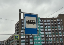 В краевом центре начал работу новый сервис, позволяющий жителям круглосуточно пополнять баланс транспортных и социальных карт через интернет
