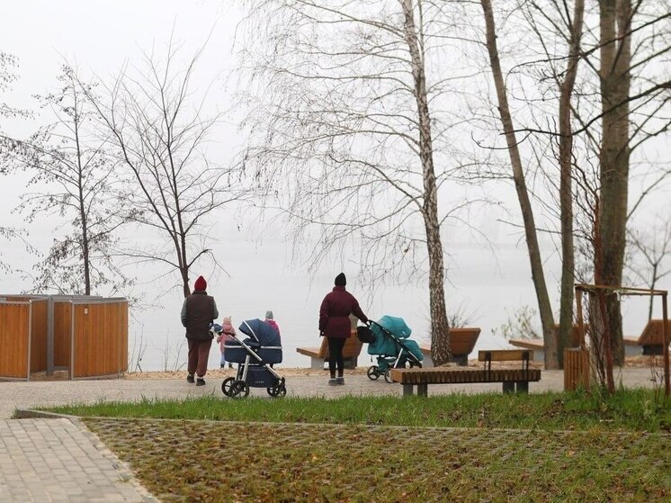 В первые дни зимы в Воронежской области снега не будет