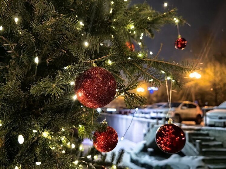 Катки, фотозоны и главный символ года - Красный Конь