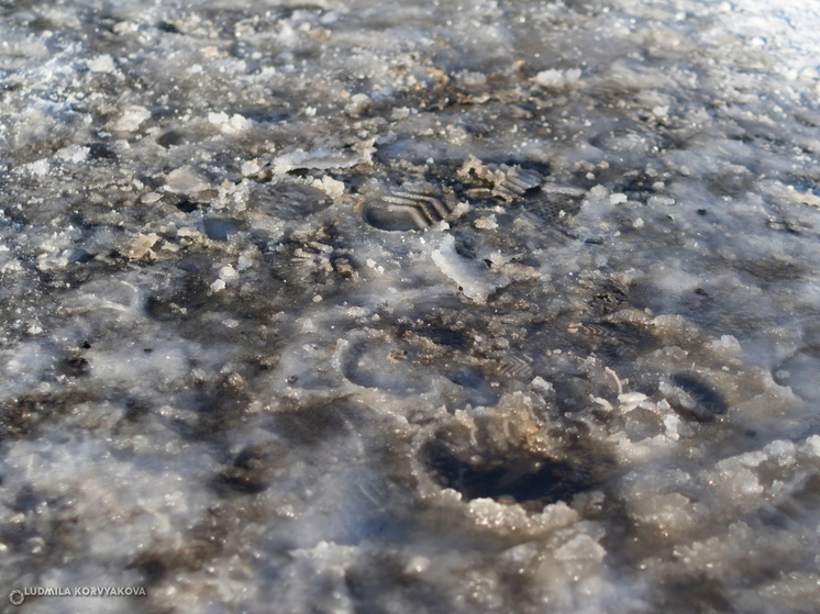 В первый день зимы в Карелии ожидается потепление до +4°C