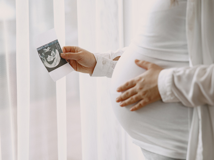 В Красноярске откроется первый государственный центр ЭКО