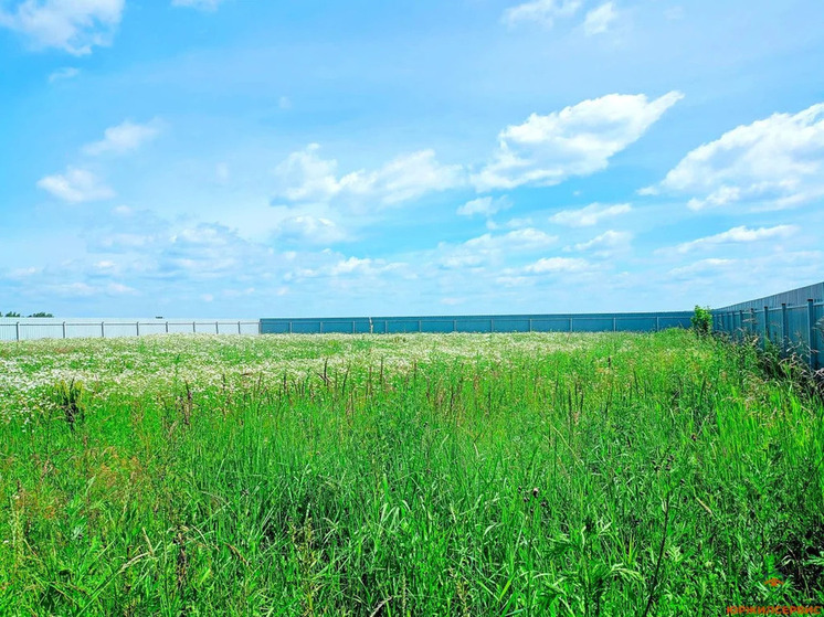 Суд вынес приговор по делу о хищении земель в Петушинском районе