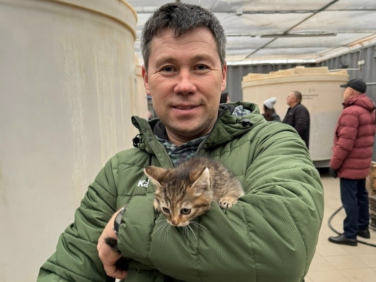 В Удмуртии напомнили трогательную историю спасения котенка, который пережил страшное