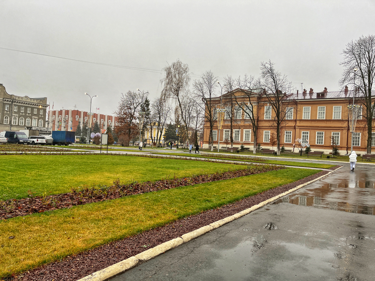Декабрь в Саратове начинается с тихой погоды
