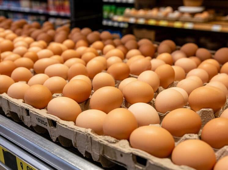 Школьники забросали яйцами библиотеку в Благовещенске