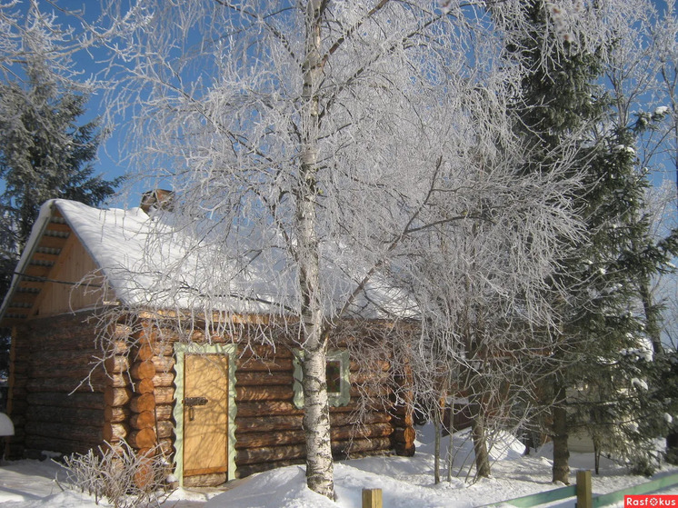 Платон и Роман Зимоуказатели: Народный календарь для ивановцев на 1 день зимы