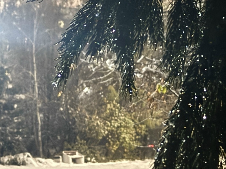 1 декабря в Ижевске потеплело до +3°С