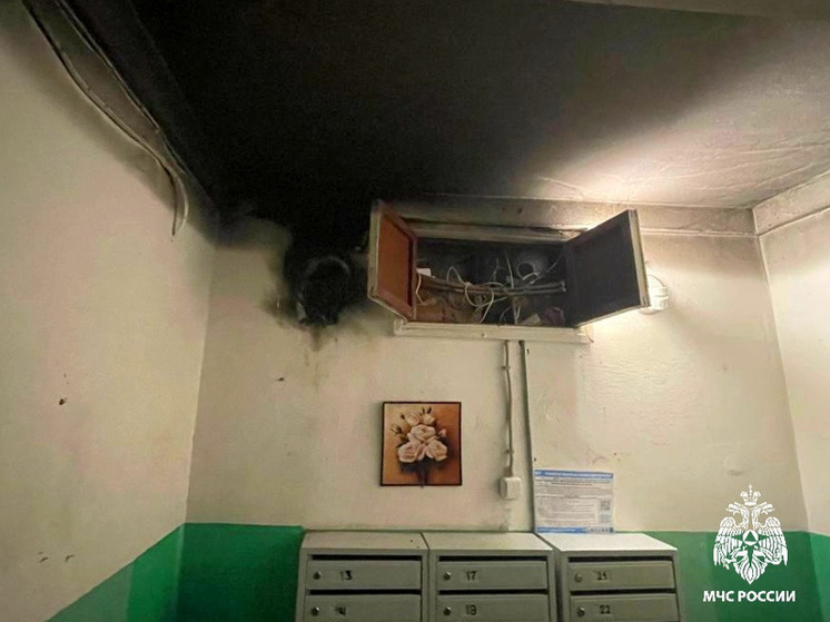 В Вязьме в подъезде дома загорелась электропроводка, никто не пострадал