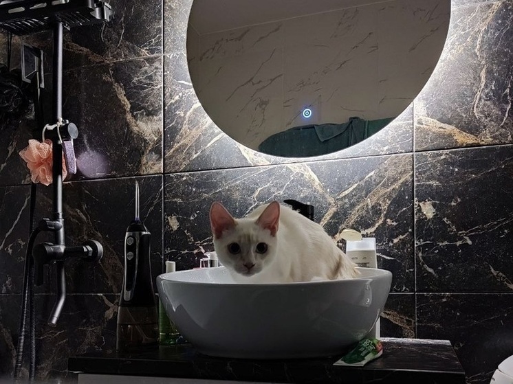 Жители барнаульского поселка Центральный в соцсетях пожаловались на полное отсутствие воды. По их словам, проблема остро наблюдается с 30 ноября. Как сообщили в городском Росводоканале, поселок остался без воды из-за сбоев автоматики на водозаборе. Поломку уже устранили.