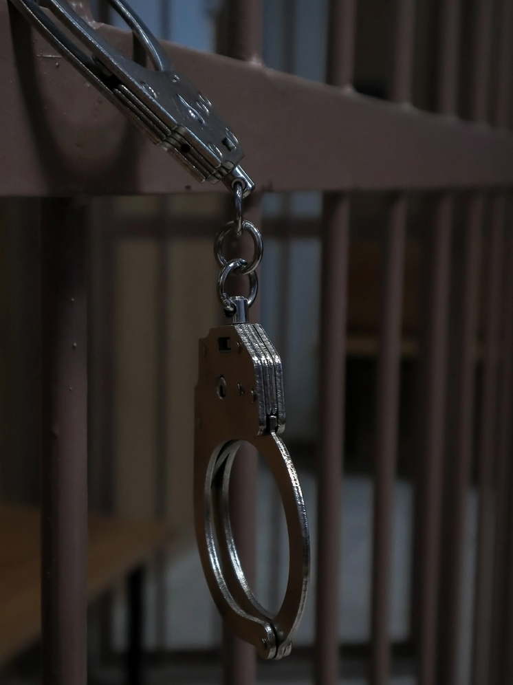 За «схему» с закладками житель Мурома проведет свои лучшие годы за решеткой