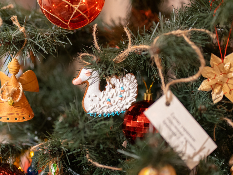 Жители Архангельска рады долгим новогодним каникулам 2026 года