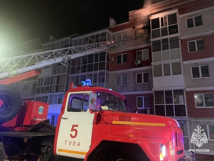 В МЧС назвали причину пожара, на котором в Туле погибли два человека